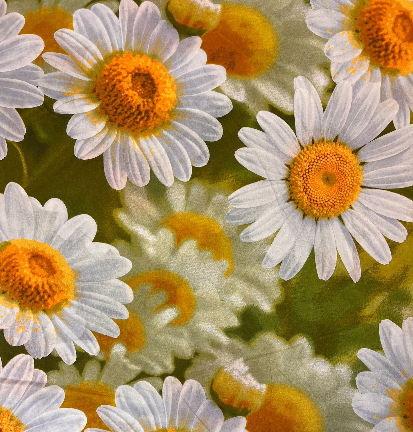 Image avec tissu 100 % coton - grandes marguerites 220cm 130 g/m² – disponible chez Šarlotes audumi