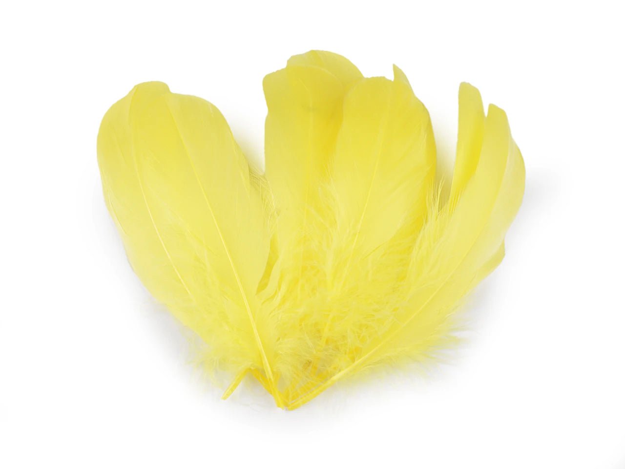Plumes d'oie (14 - 18 cm) - jaunes