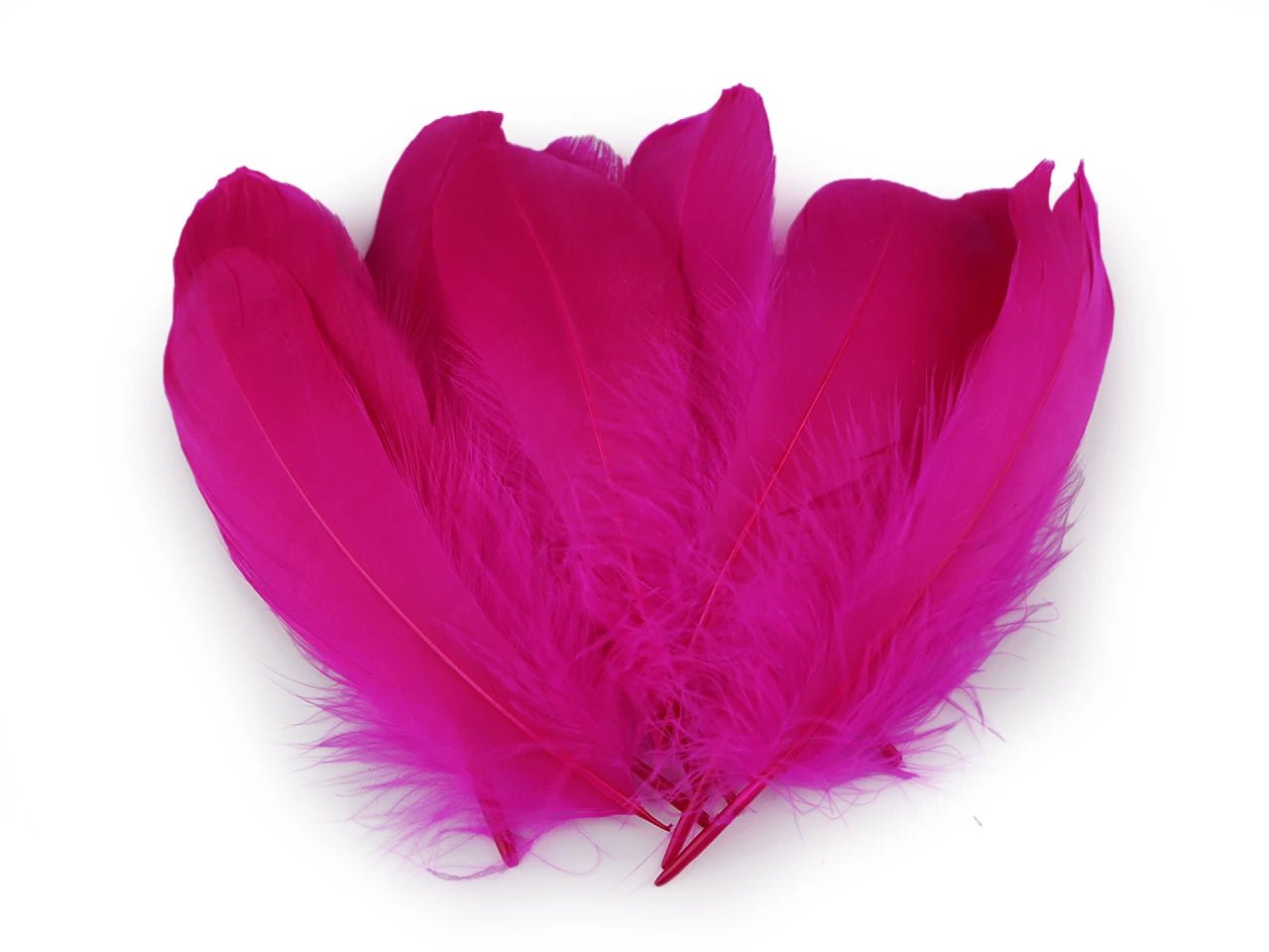 Plumes d’oie (14 - 18 cm) - fuchsia