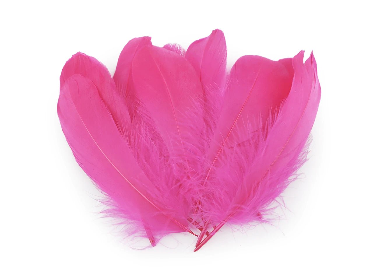 Plumes d'oie (14 - 18 cm) - rose vif