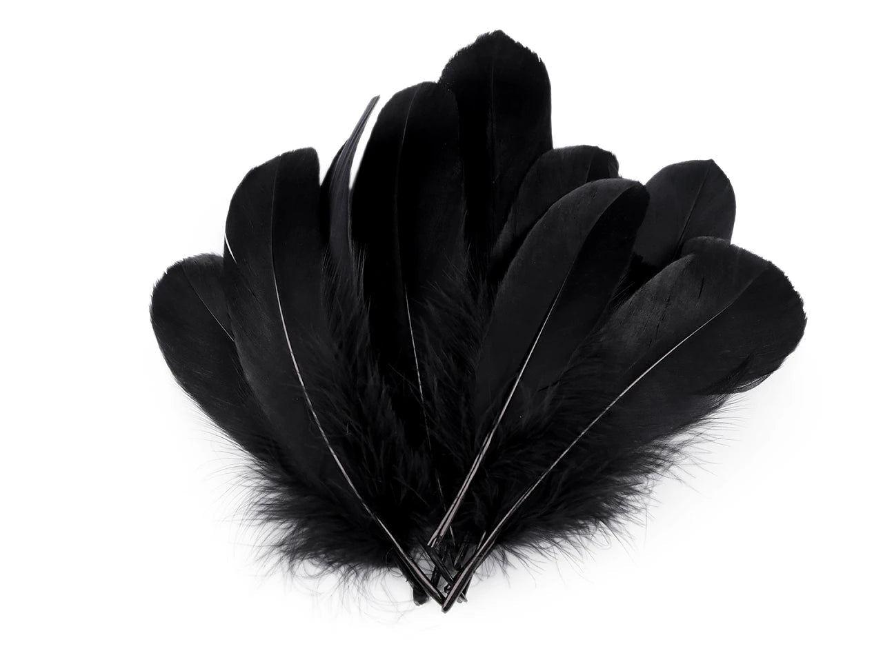 Plumes d'oie (14 - 18 cm) - noires