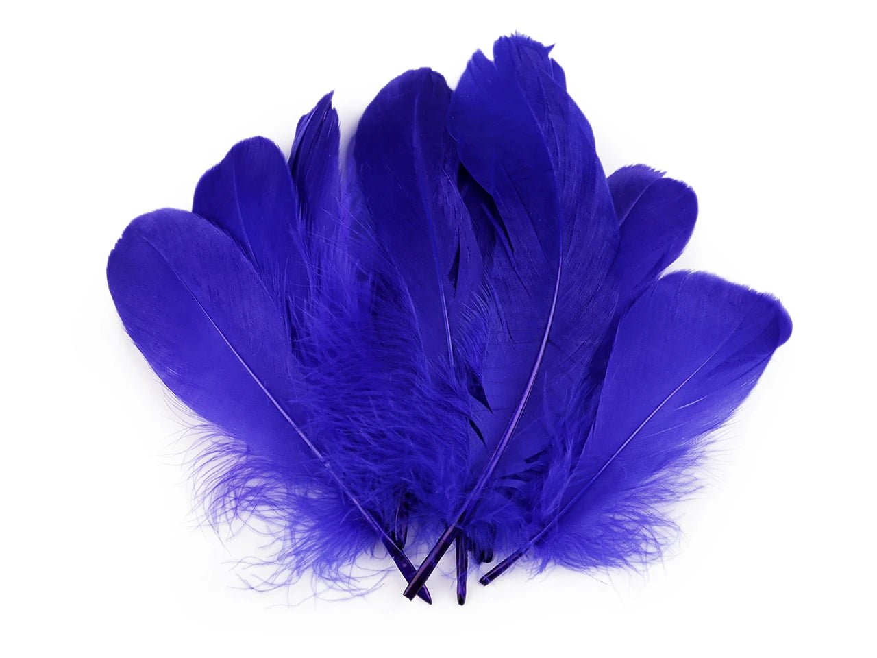 Plumes d’oie (14 - 18 cm) - bleu bleuet