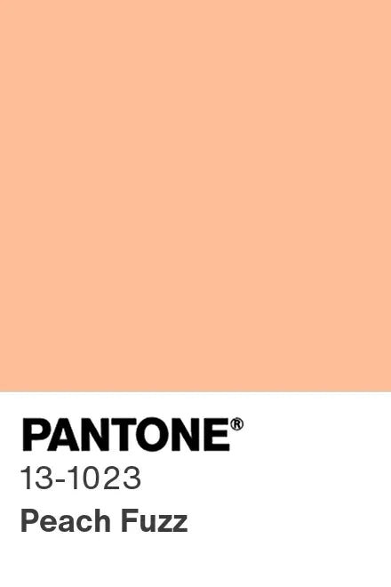 Couleur 2024 - tissus Charlotte