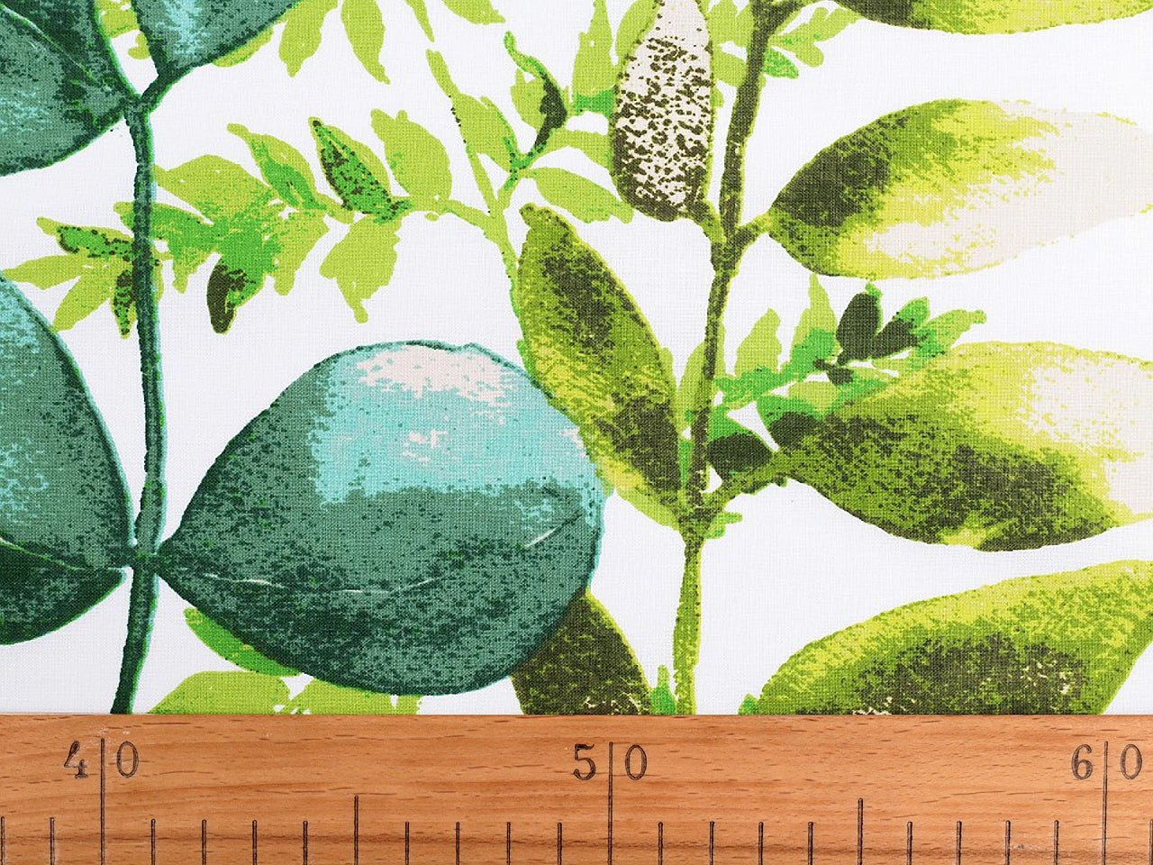 Bild mit 100 % Baumwollstoff mit Eukalyptus – online erhältlich bei Šarlotes audumi