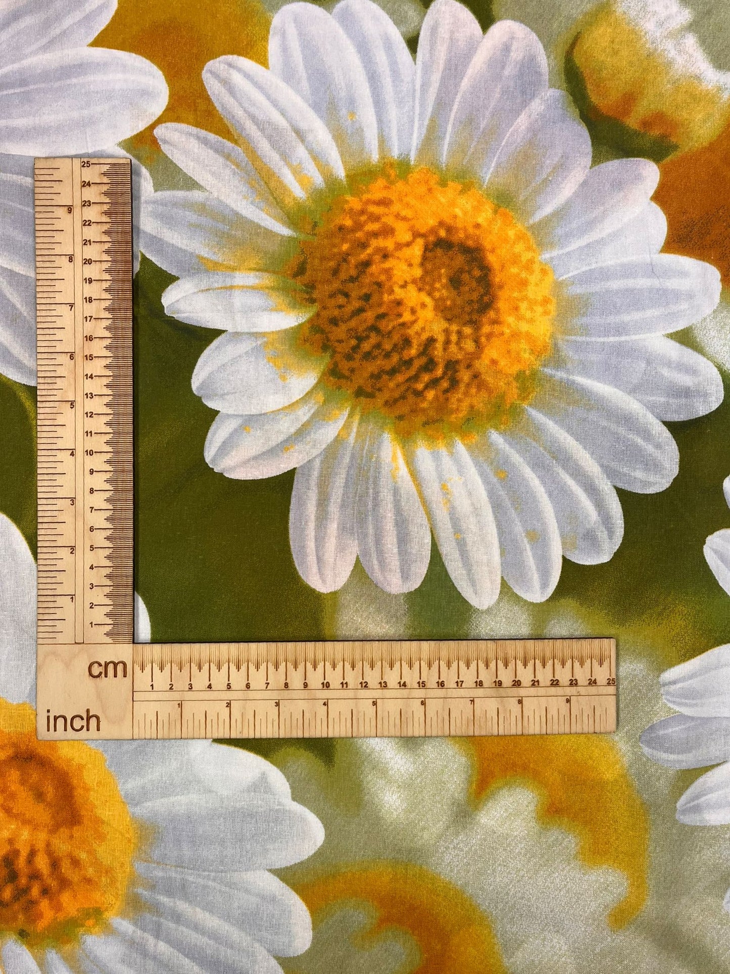 Image en tissu 100% coton - grandes marguerites 220cm 130 g/m² – disponible chez Šarlotes audumi