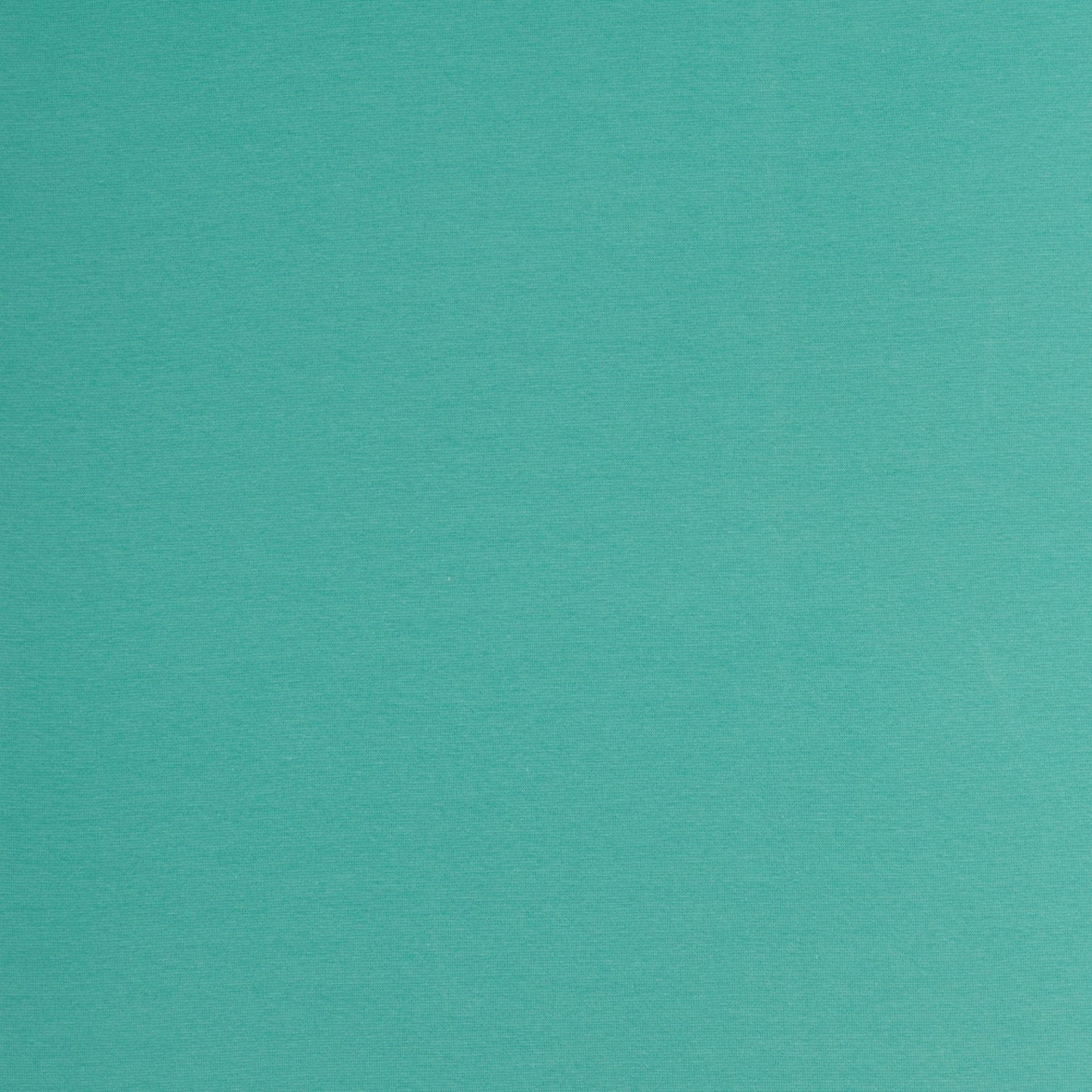 Bord de finition en tissu | manchette - menthe 240 g/m²