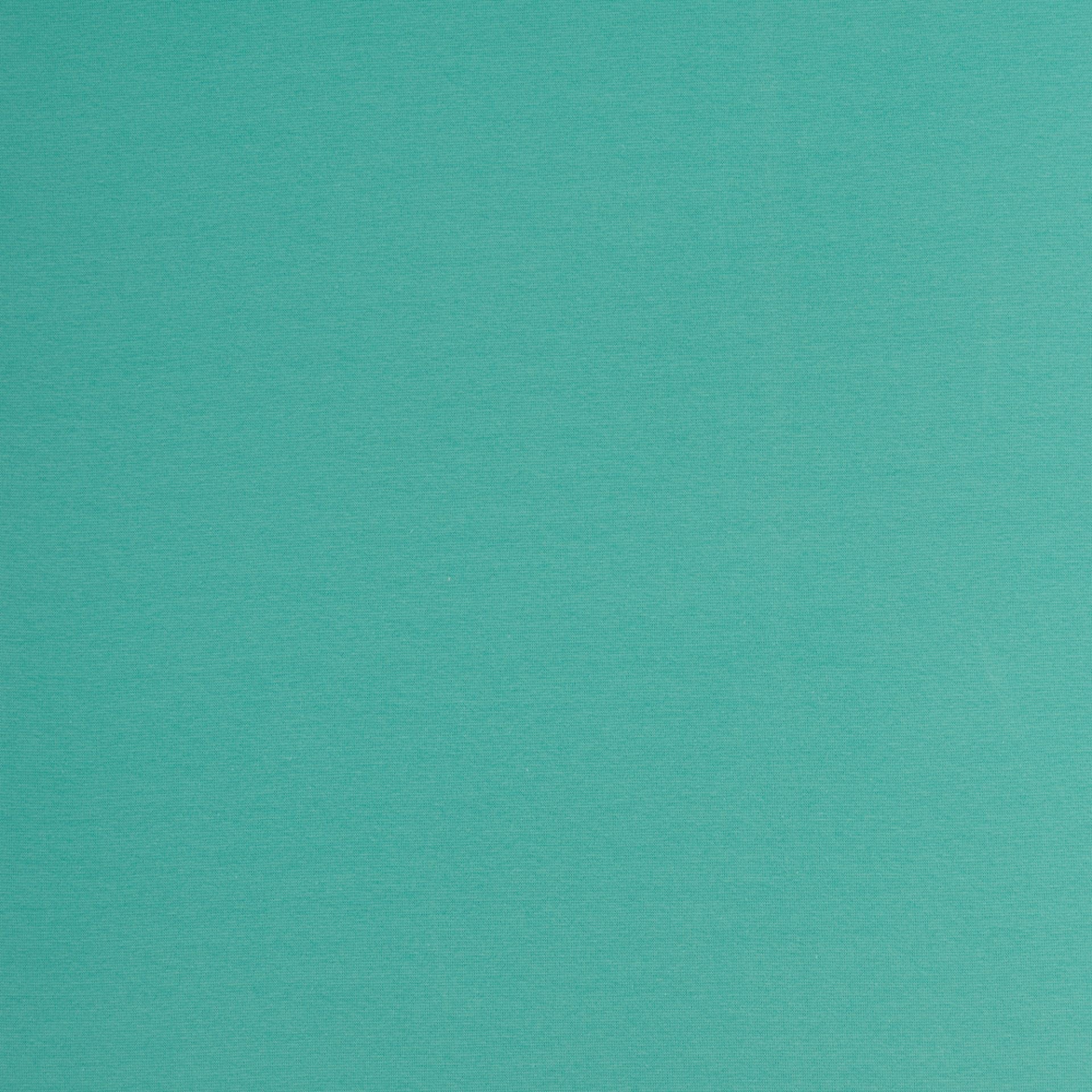 Bord de finition en tissu | manchette - menthe 240 g/m²