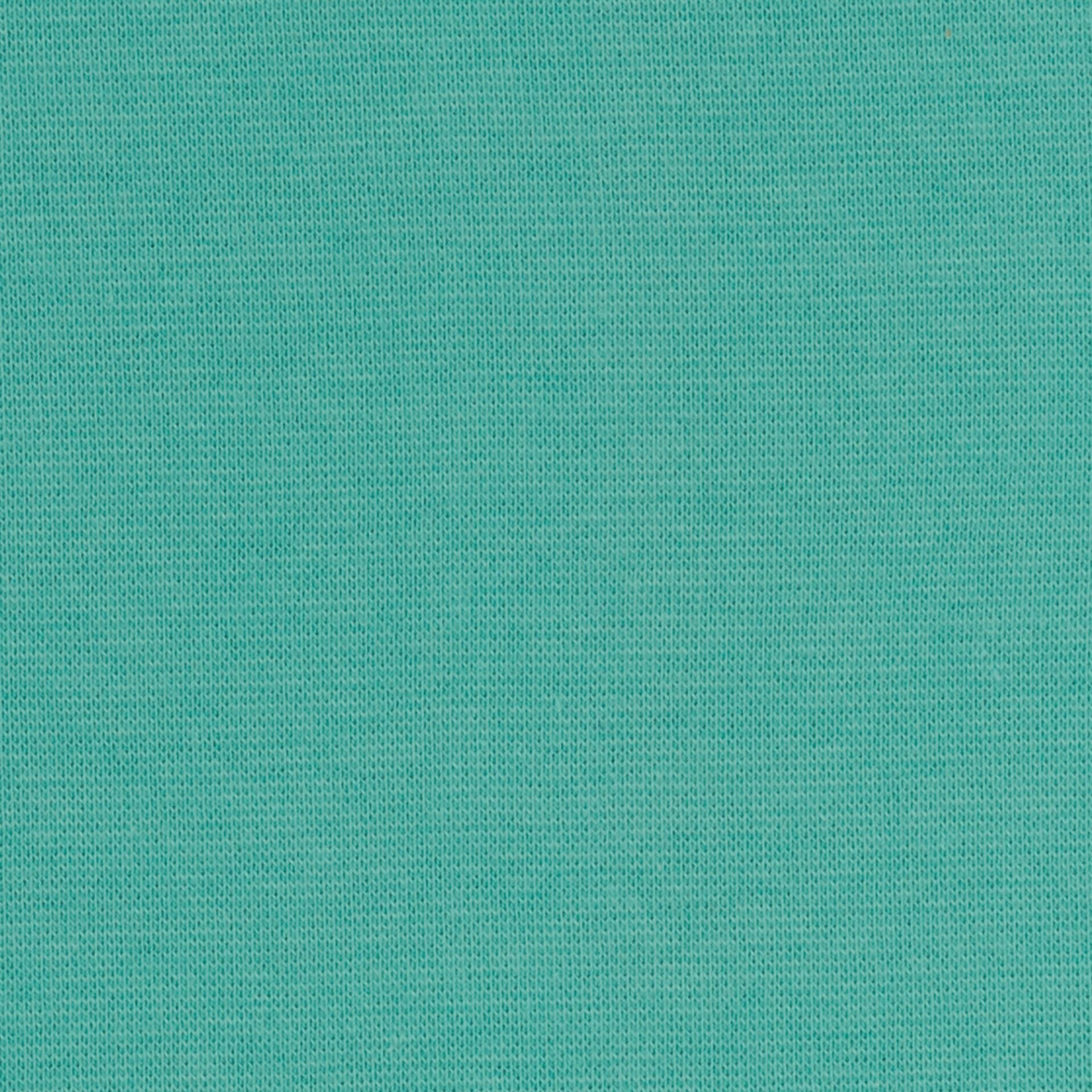Bord de finition en tissu | manchette - menthe 240 g/m²