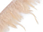 cream-colored