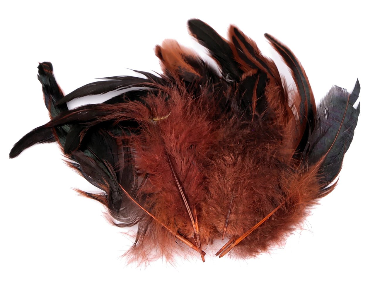 Attēls avec plumes décoratives de poule 6–20 cm, 20 pièces|tons variés – disponible chez Šarlotes audumi