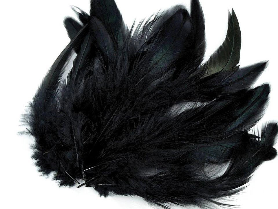 Image de plumes décoratives de poule 6–20 cm, 20 pièces | tons variés – disponible chez Šarlotes audumi