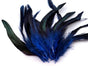 Bleue