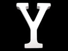 Y