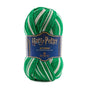 Serpentard (Slytherin) – ambition et ruse.