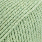88 · sage green solid colour