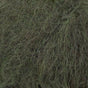 32 forêt sombre