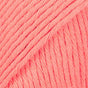 01 · apricot solid color