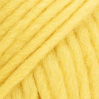 109 · couleur unie pissenlit