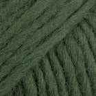97 · couleur unie vert lierre foncé