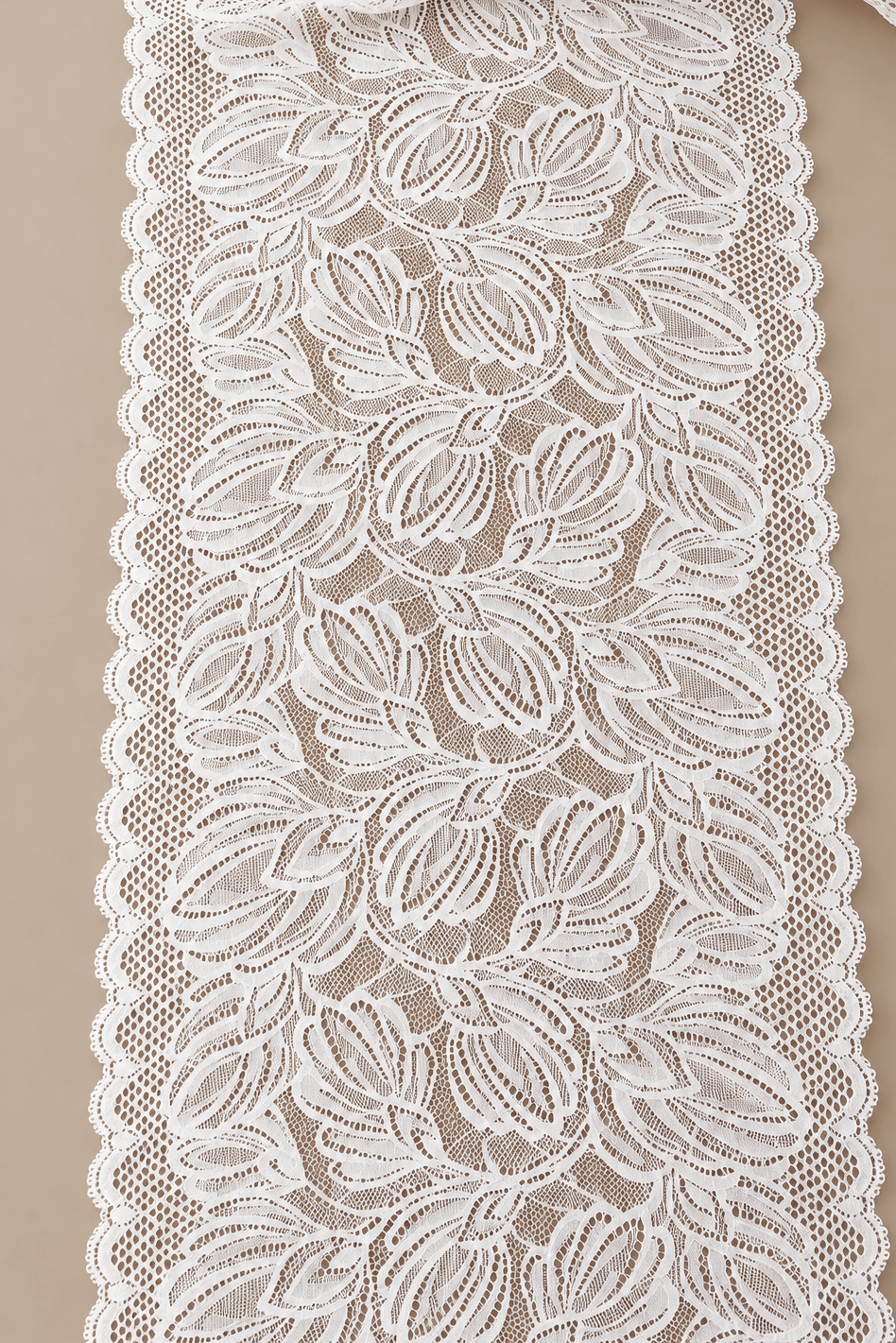 Image avec dentelle fine extensible 20 cm blanc lait – disponible en ligne chez Tissus de Charlotte