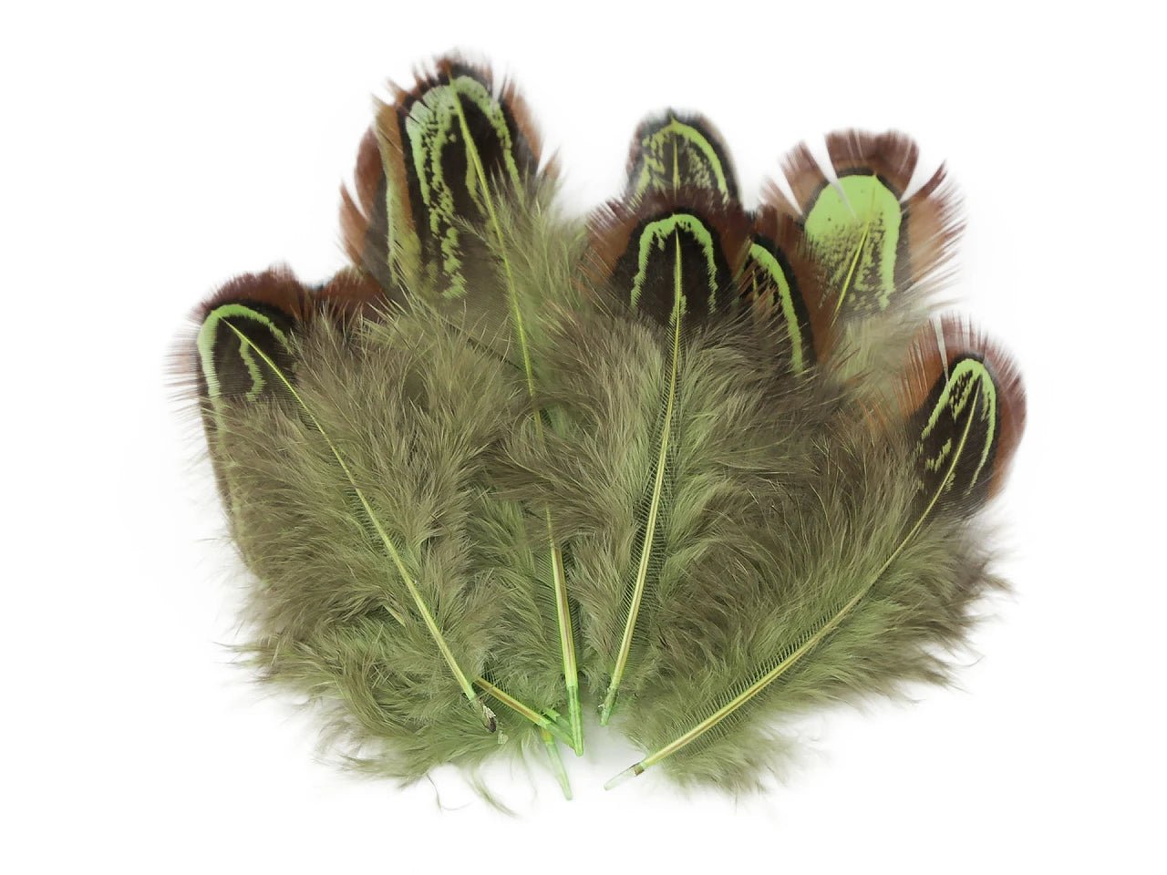 Image avec plumes de faisan 5–7 cm – plumes naturelles décoratives, tons variés – disponible chez Šarlotes audumi