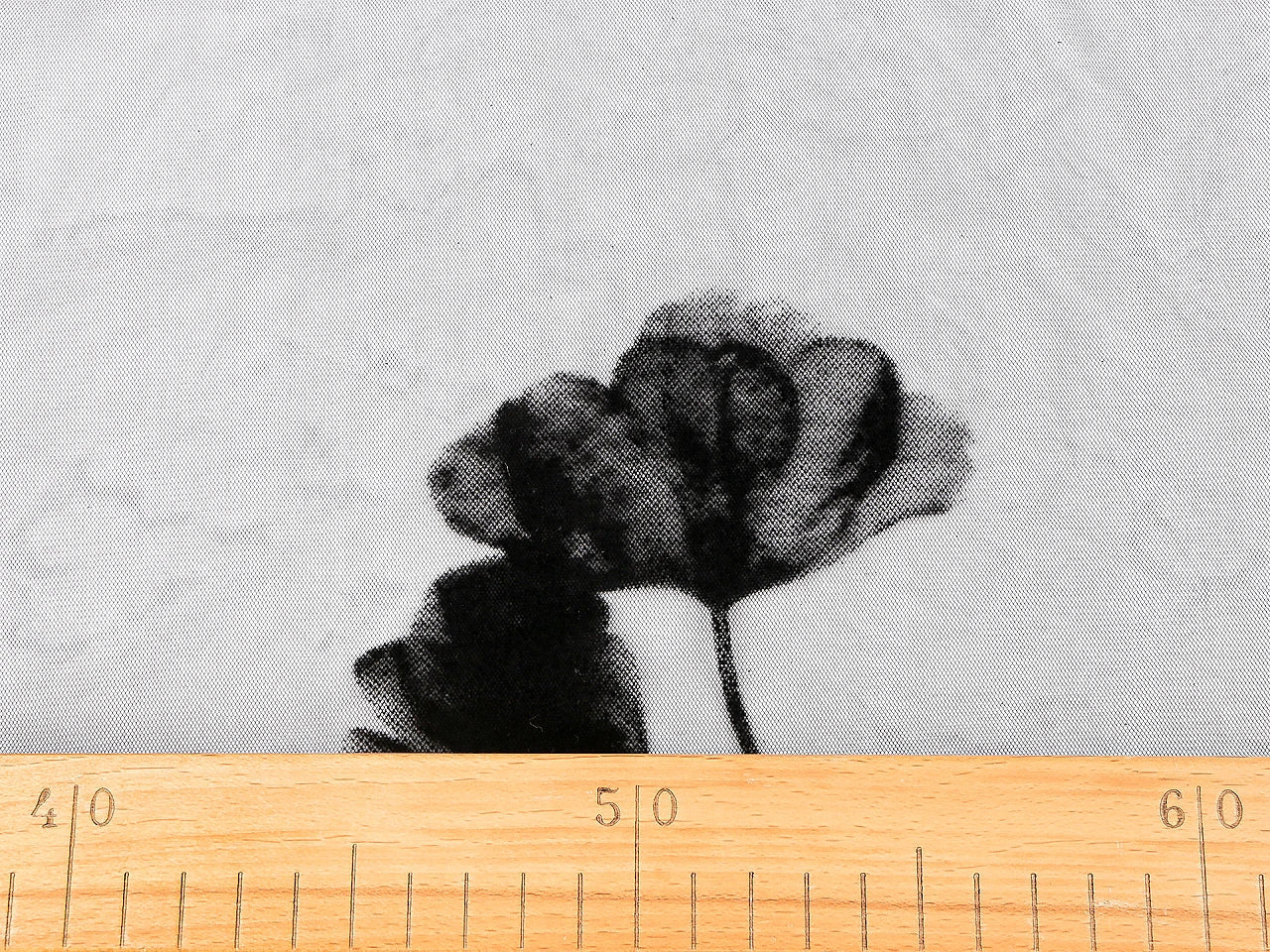 Image de tulle brodé avec ginkgo 29 g/m² – disponible chez Šarlotes audumi