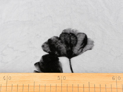 Image de tulle brodé avec ginkgo 29 g/m² – disponible chez Šarlotes audumi