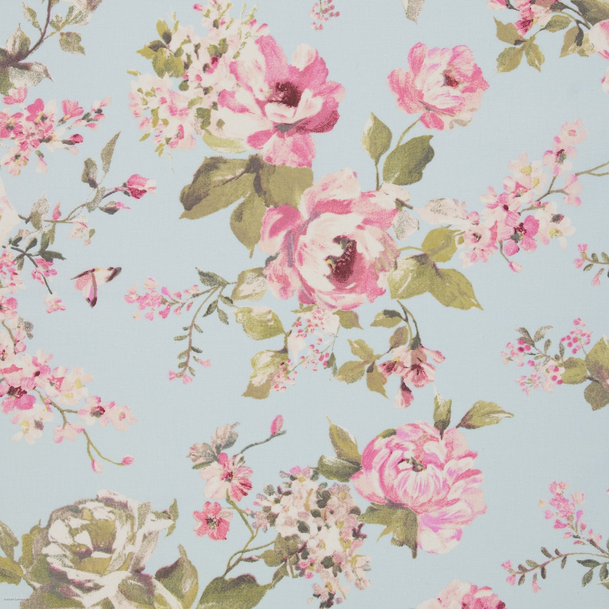 Toile canvas - roses sur fond bleu clair 200 g/m²