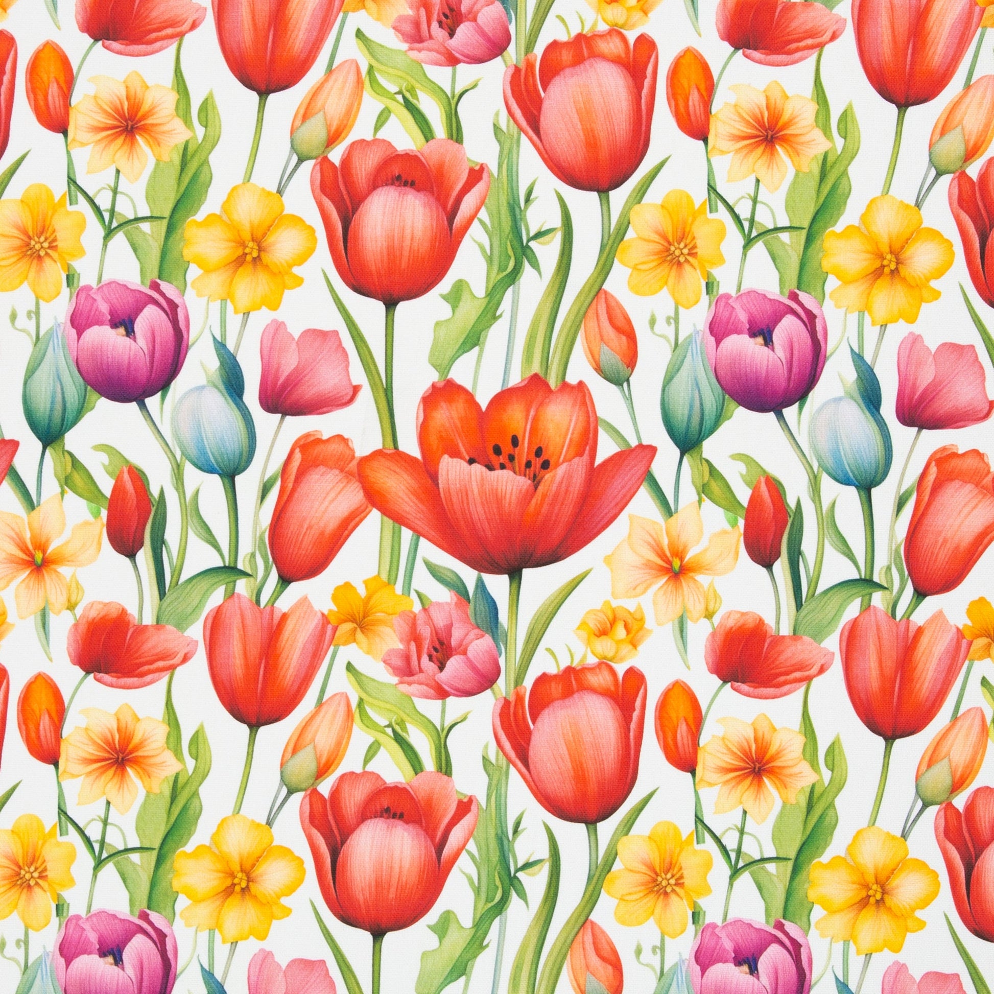 Tissu canvas - tulipes 210 g/m²