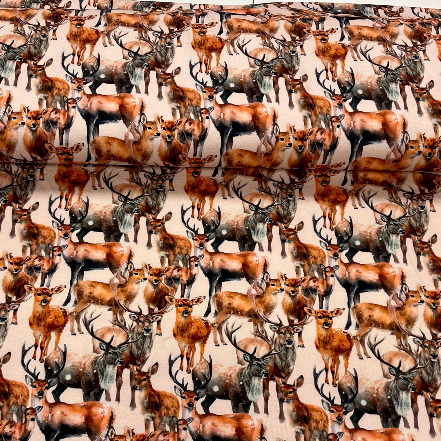 Maille bouclette en coton - famille de cerfs 250 g/m²