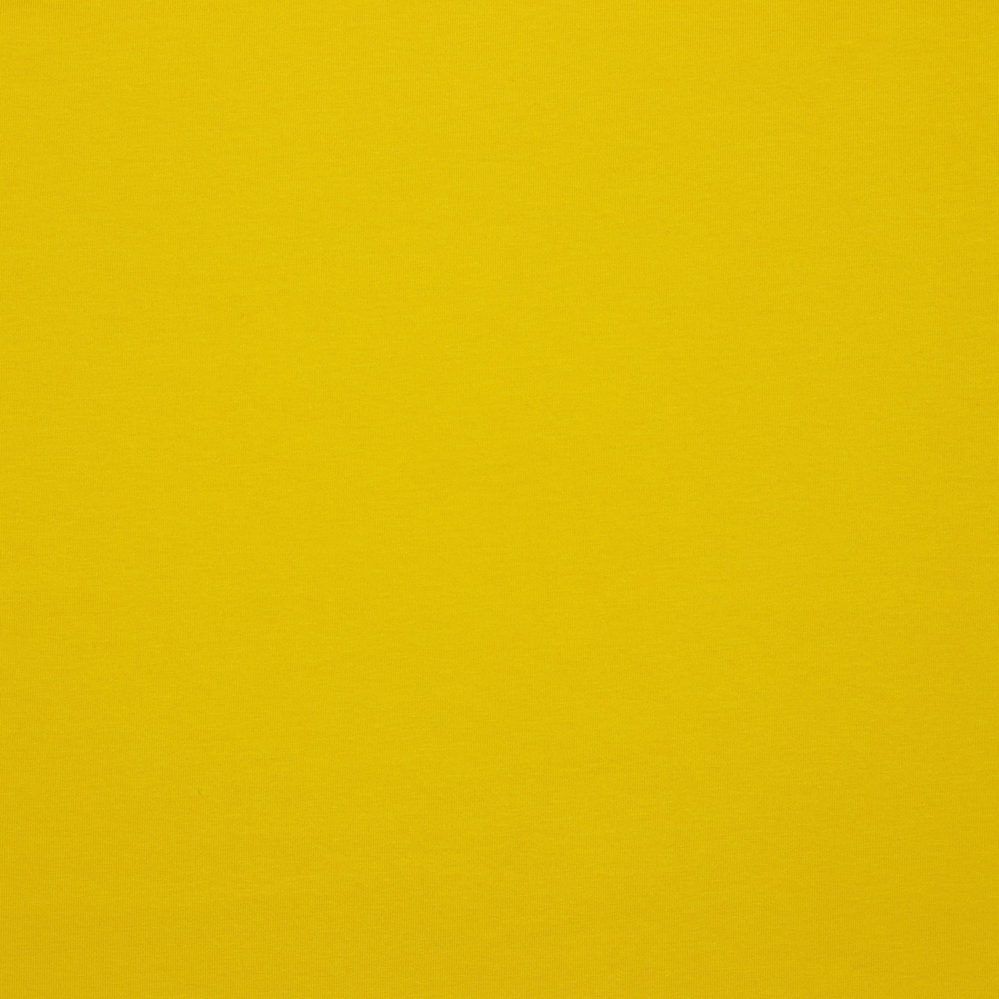 jersey bouclé en coton - jaune 235 g/m² (certifié GOTS)