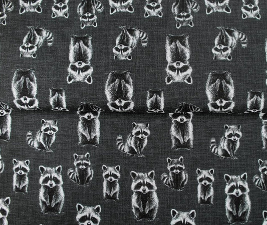 Image with Cotton loopback knit - raccoons 265 g/m² – available at Šarlotes audumi