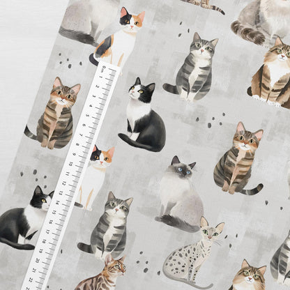 Image d’un chat en jersey bouclette en coton sur fond gris – disponible en ligne chez Tissus Charlotte