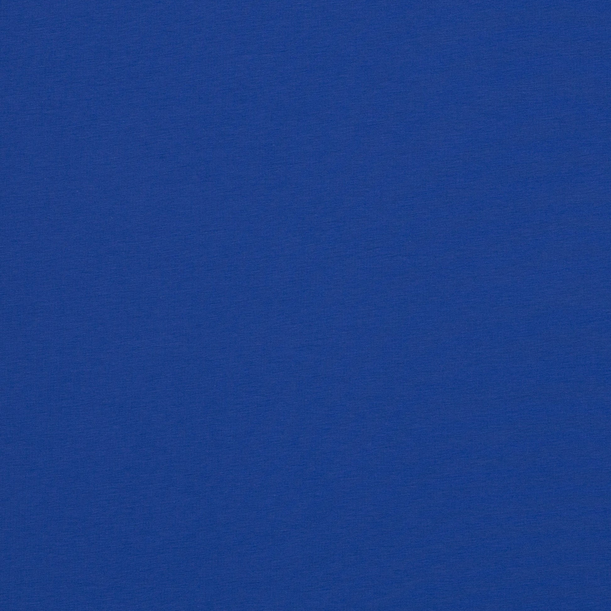 Image de tissu en tricot à bouclettes en coton - bleu cobalt 235 g/m² – disponible chez Šarlotes audumi