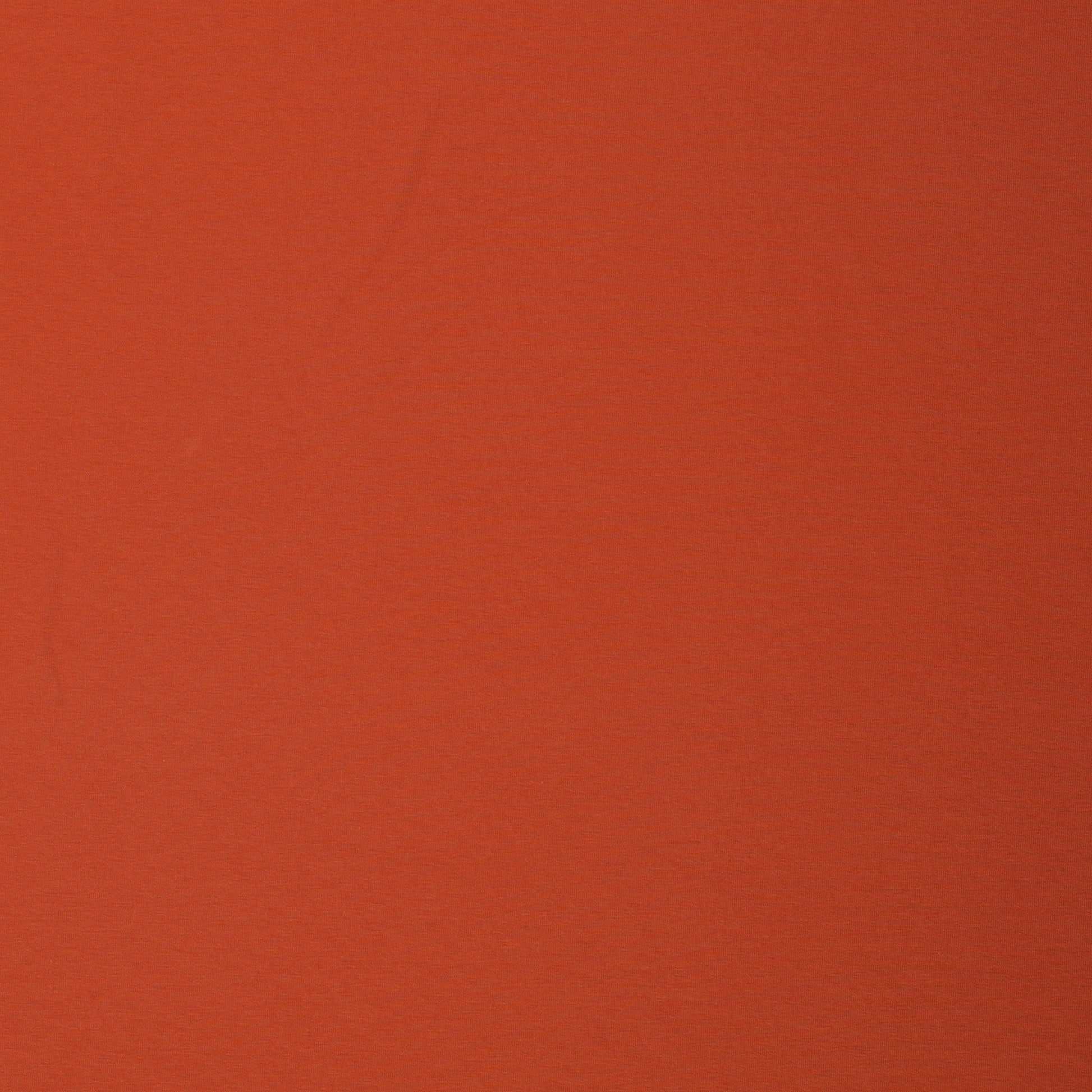 maille bouclette en coton - terracotta 240 g/m²