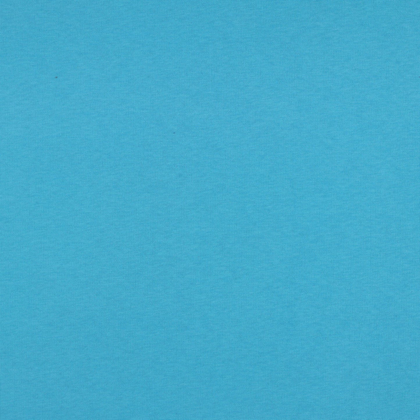 Jersey de coton molletonné - turquoise 285 g/m²
