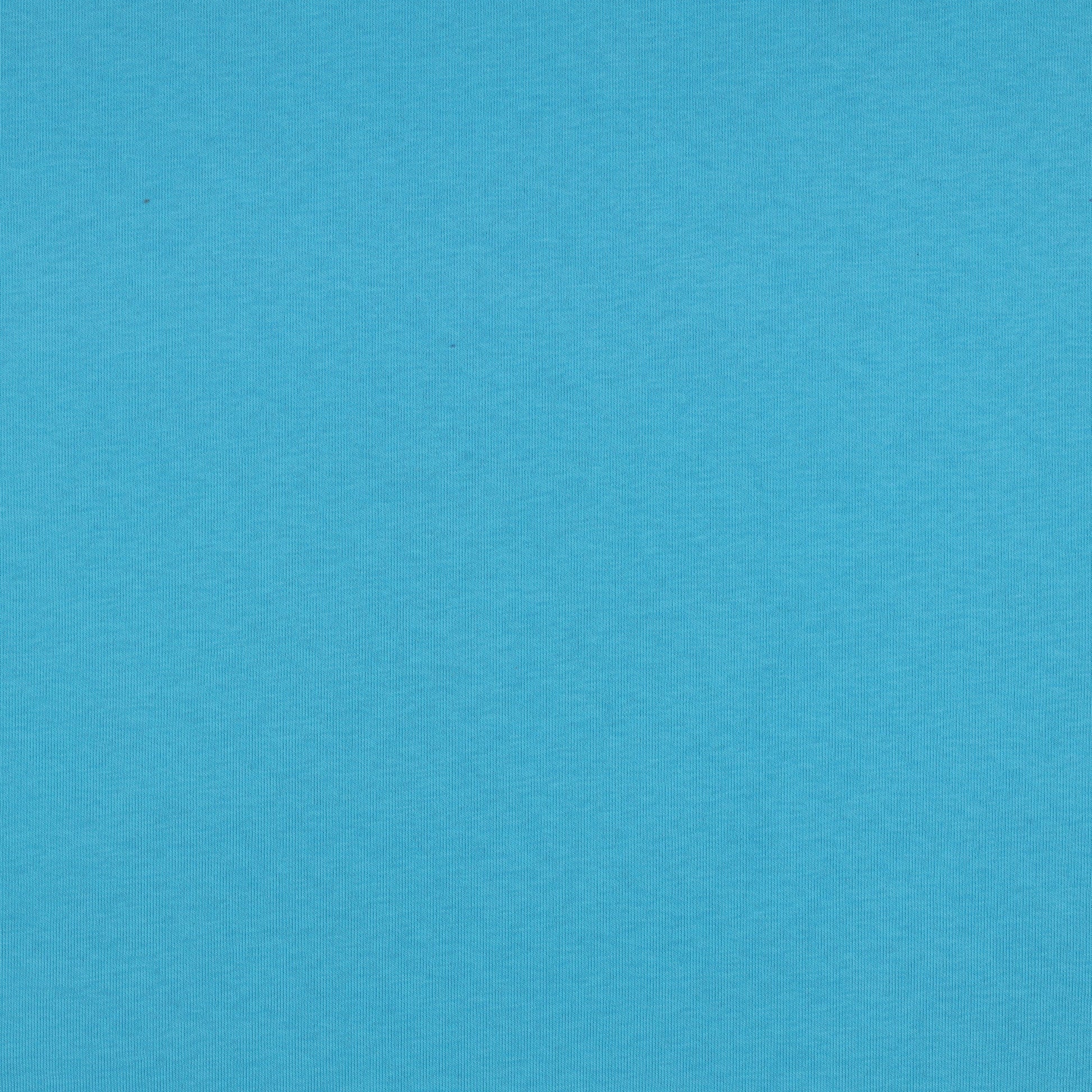 Jersey de coton molletonné - turquoise 285 g/m²