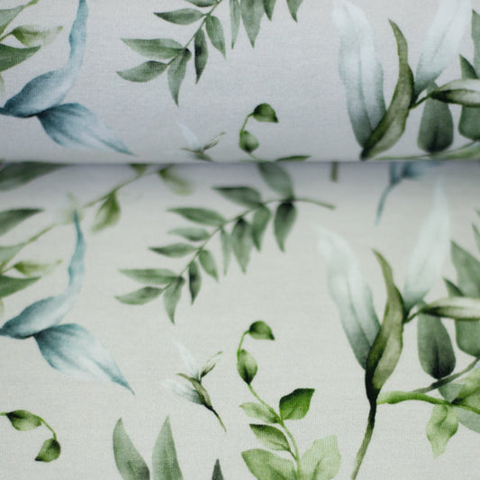Jersey de coton - branches d'eucalyptus 200 g/m²