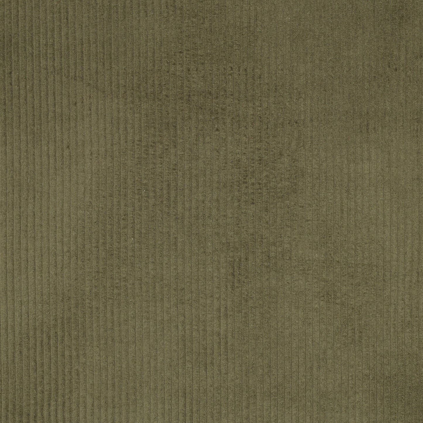 Image of cotton corduroy - moss green 280 g/m² – available at Šarlotes audumi