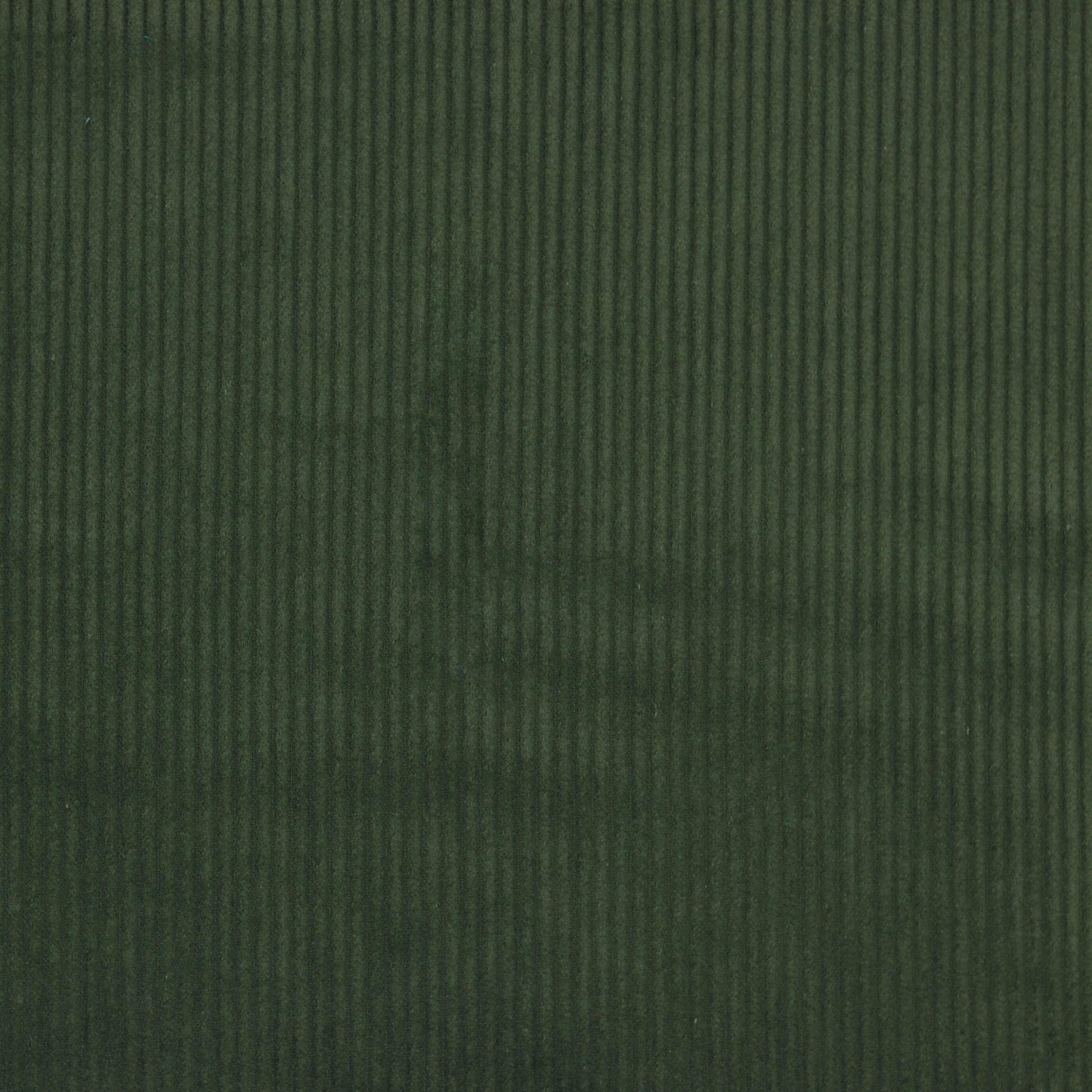 Velours côtelé en coton - vert foncé 280 g/m²