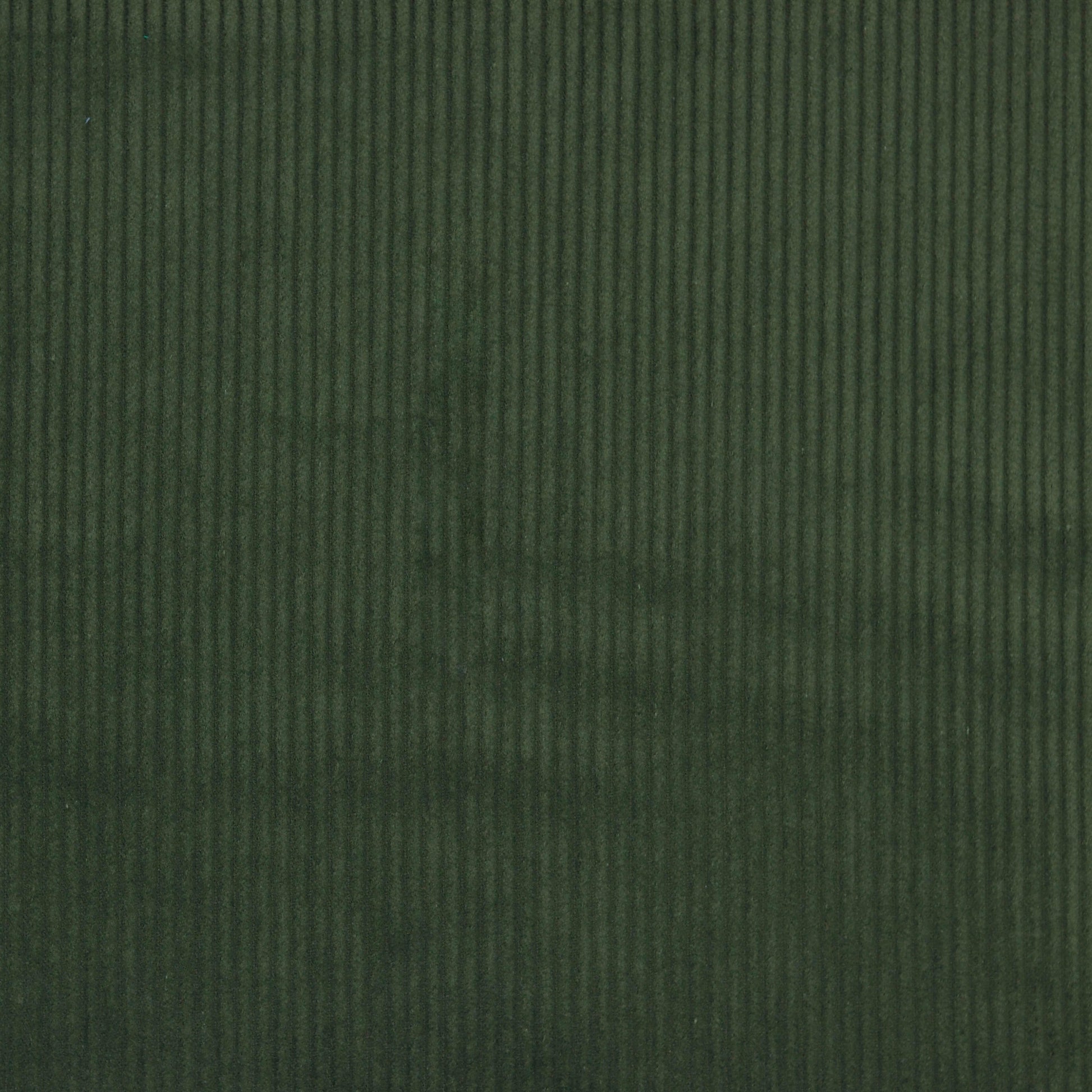 Velours côtelé en coton - vert foncé 280 g/m²