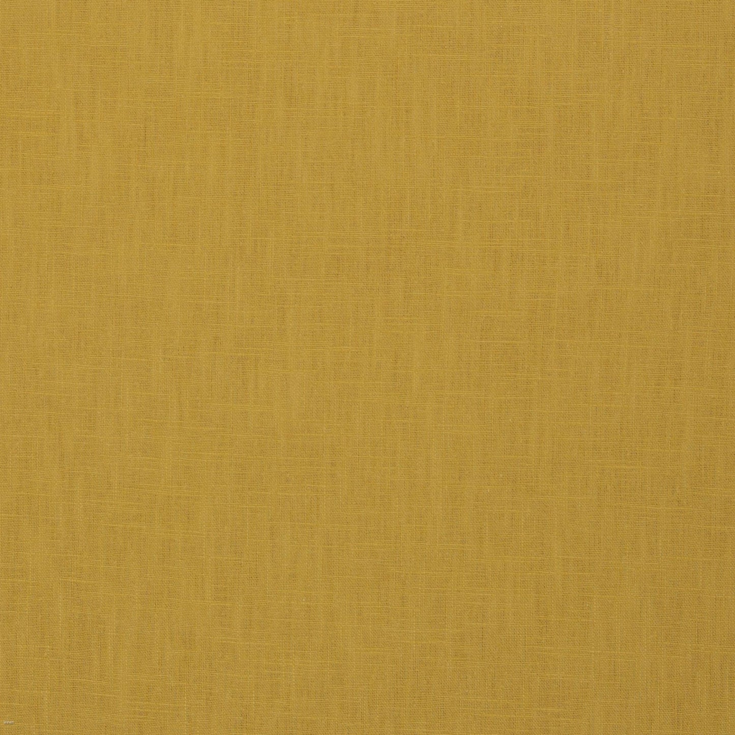 Image de tissu en lin moutarde 235 g/m², disponible chez Šarlotes audumi