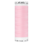 Rose 0082