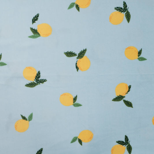 Image avec polaire Minky (lisse) aux citrons 220 g/m² – disponible chez Šarlotes audumi