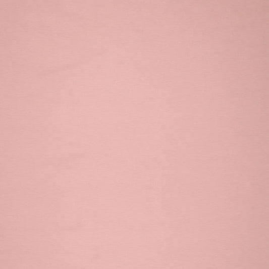 Image of Punta di Roma knit fabric – powder pink 320 g/m² – available at Šarlotes audumi