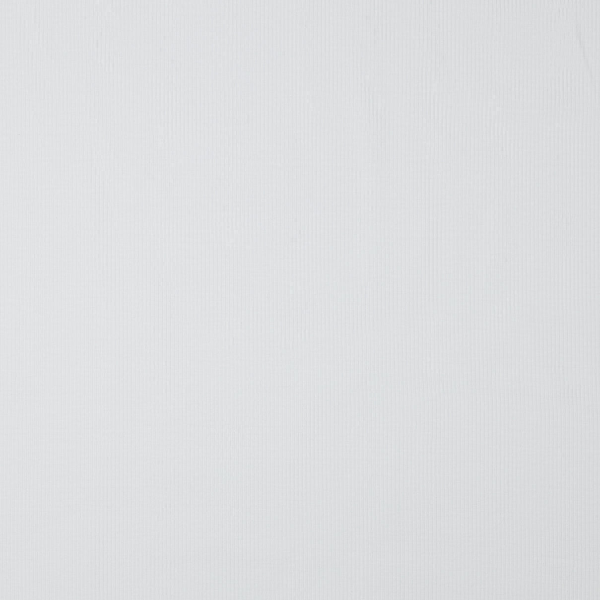 Ribbed cotton jersey (RIB JERSEY) - white 240 g/m²