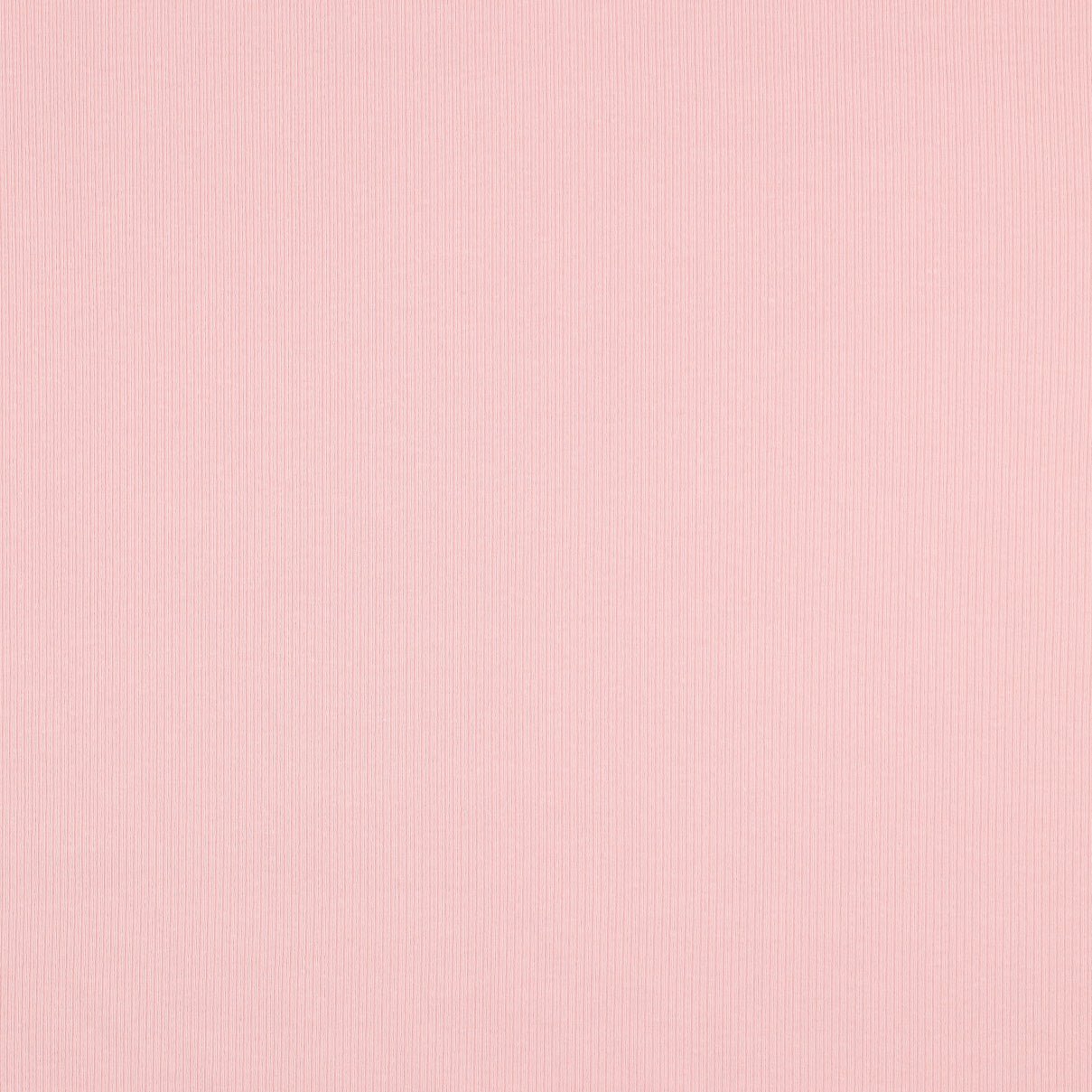 Ribbed cotton jersey (RIB JERSEY) - rose shade 240 g/m²