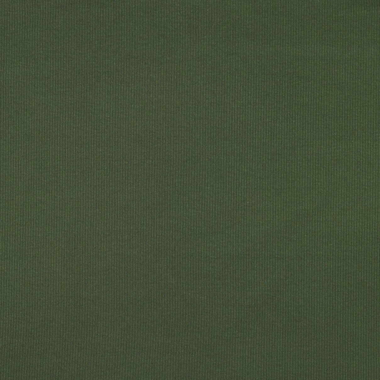 Ribbed cotton jersey (RIB JERSEY) - dark green 240 g/m²