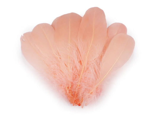 Plumes d’oie (14 - 18 cm) - abricot