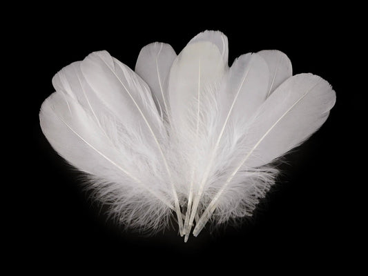 Plumes d'oie (14 - 18 cm) - blanches